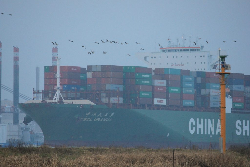 Containerschiff passiert Messpfahl