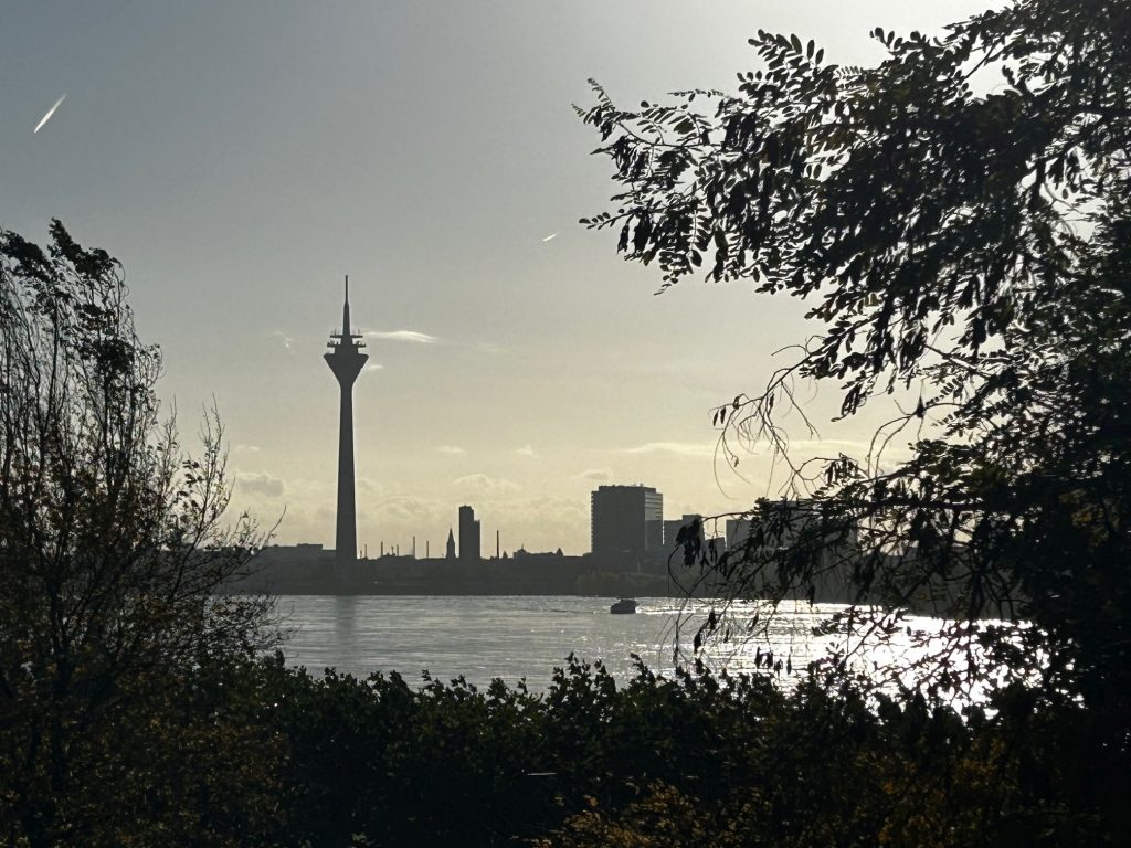 Morgenstimmung am Rheinknie. Im Hintergrund ist der Düsseldorfer Fernsehturm zu sehen, um Vordergrund Bäume und Büsche.